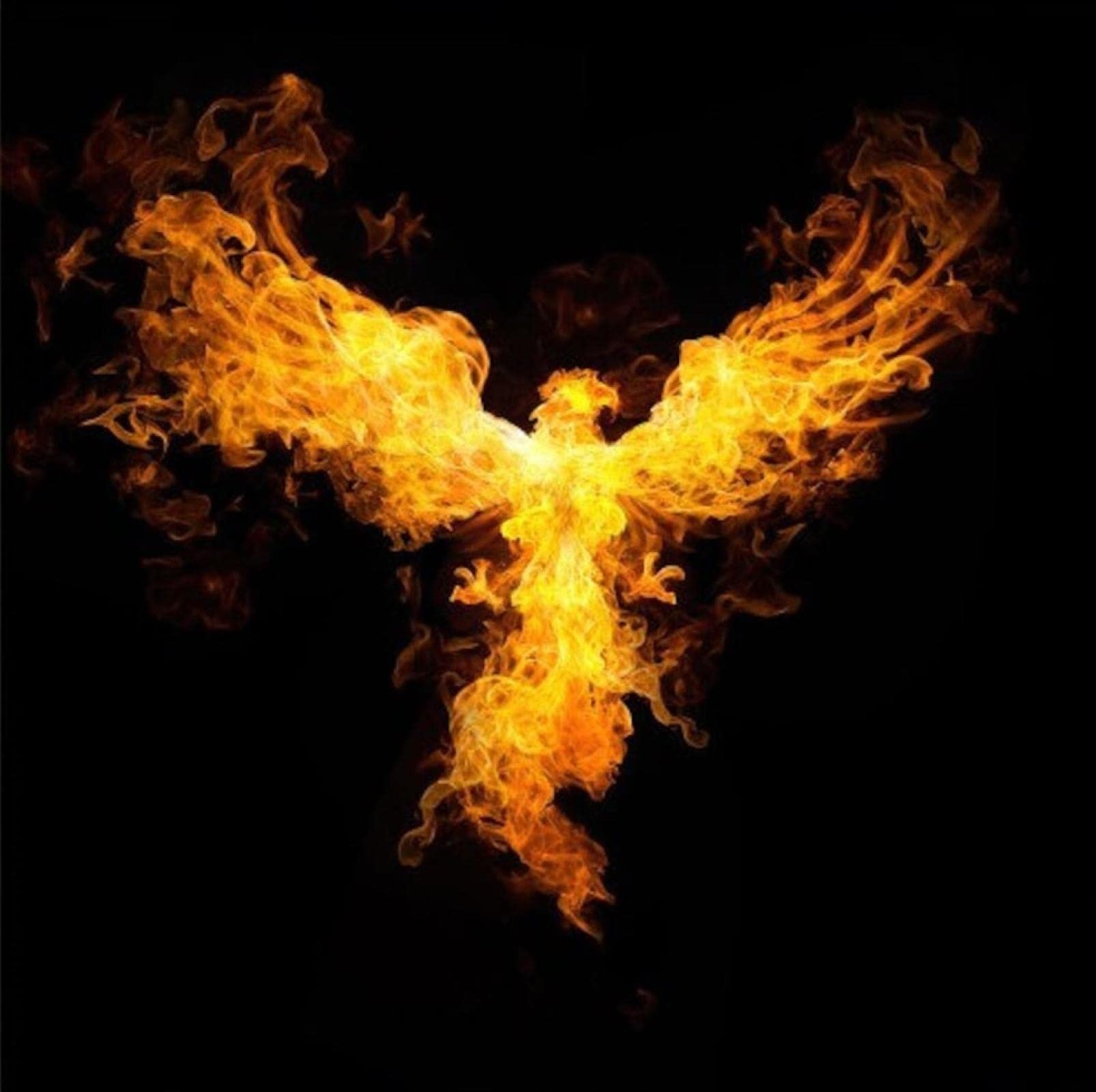 Yangxiaolei Art Deco Wall Art - Phoenix Flame Animal Black Modern